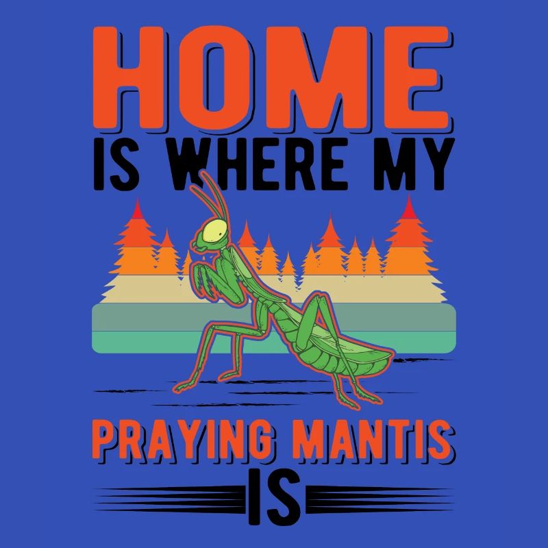 Praying mantis at home Mantis mantis