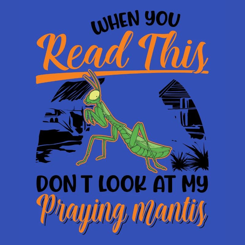 Praying mantis Gift Mantis Mantis