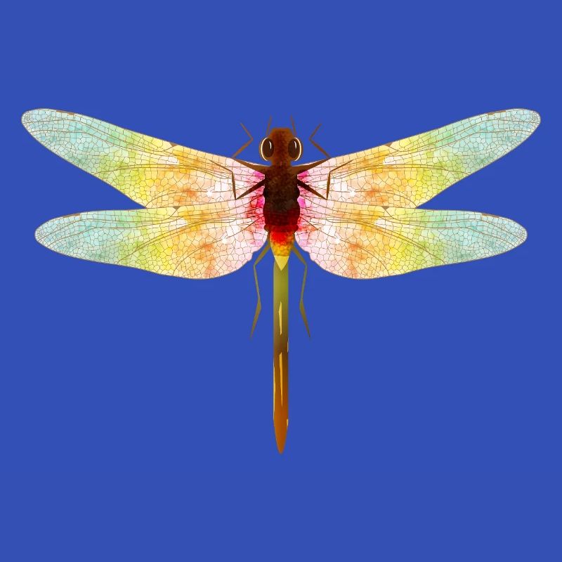 Libellule irisée – motif insecte en filigrane