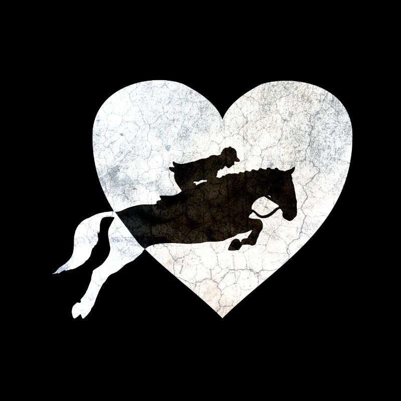 Springreiter auf Springpferd