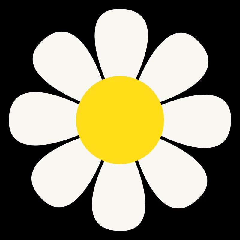 Gänseblümchen Blume Fleur de marguerite