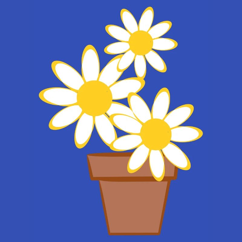 Gänseblümchen