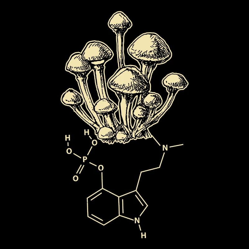 Pilz Enthogen Psilocybin