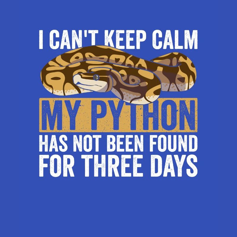 Königspython Banana Ball Python