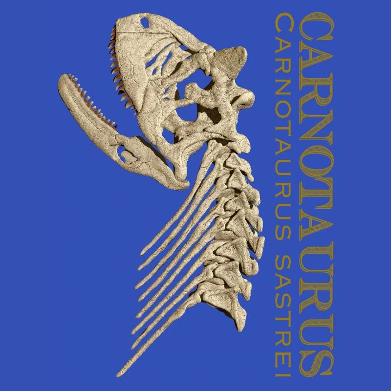Carnotaurus Schädel bone