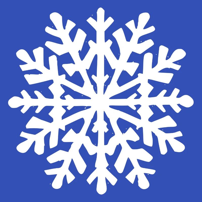 Snowflake Snow Winter Christmas Cold 4