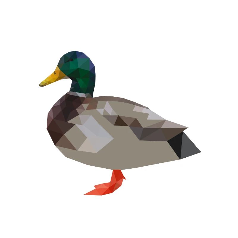 Duck, , ducks polygon geometric
