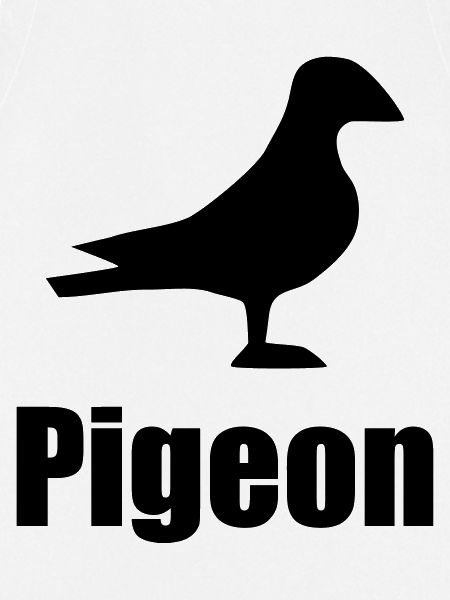 Pigeon