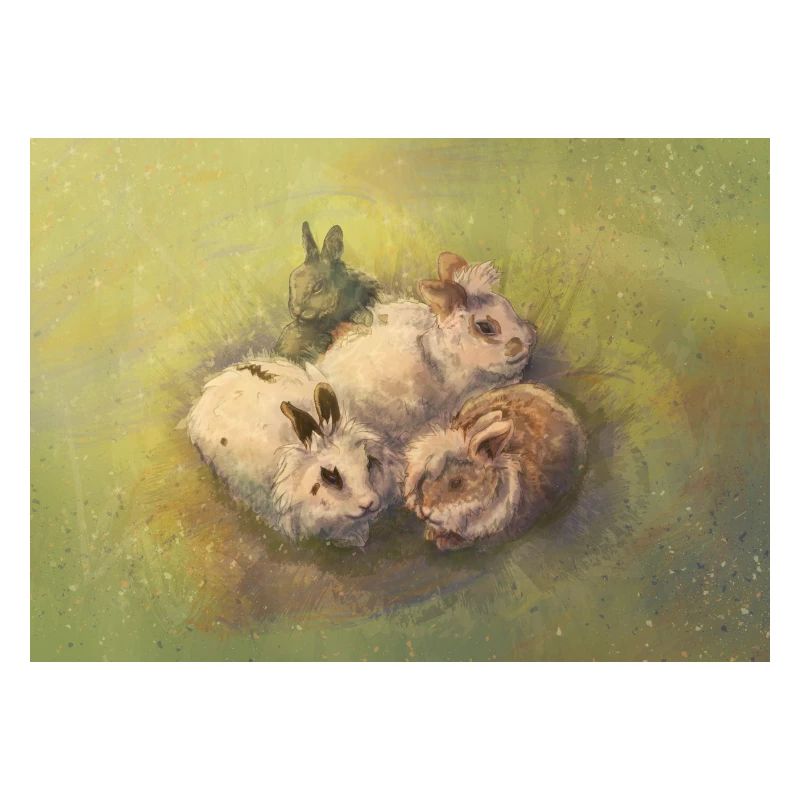 Rabbit Pack