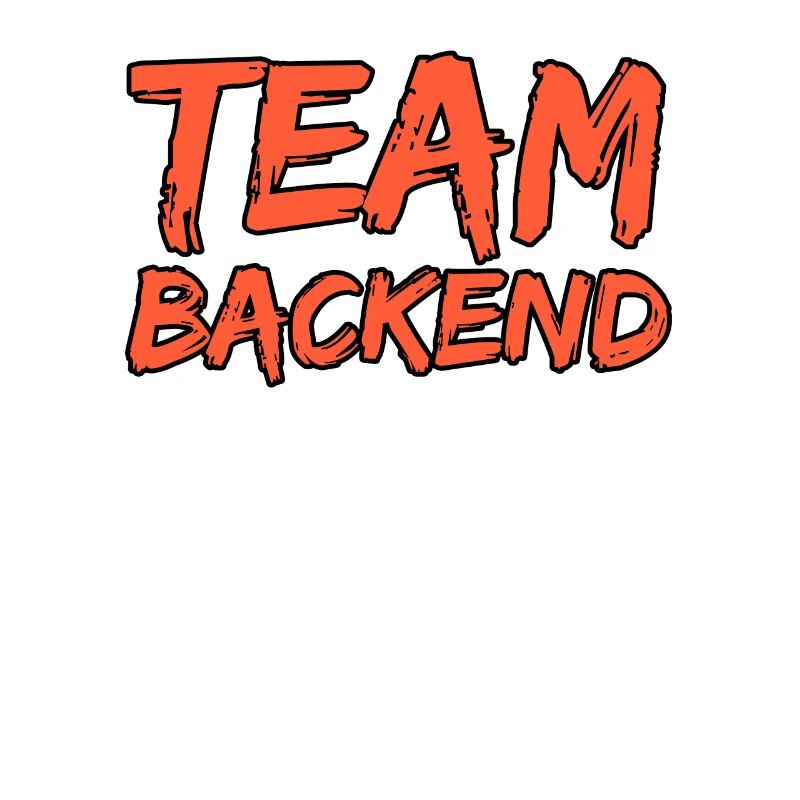 Team Backend Programmeur