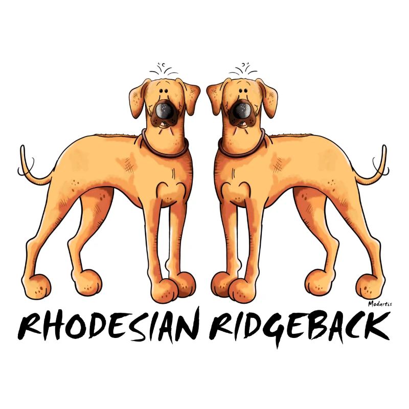 Rhodesian Ridgeback Duo