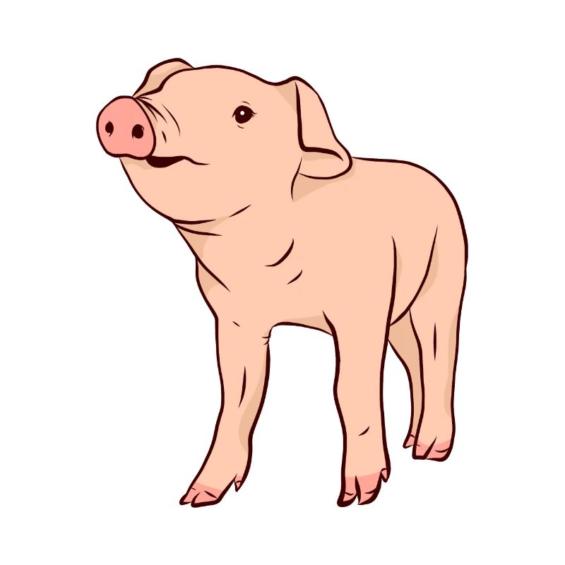 Cochons Cochons Cochons
