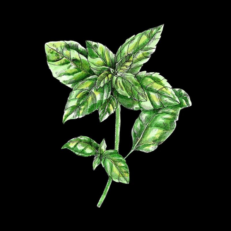 basil