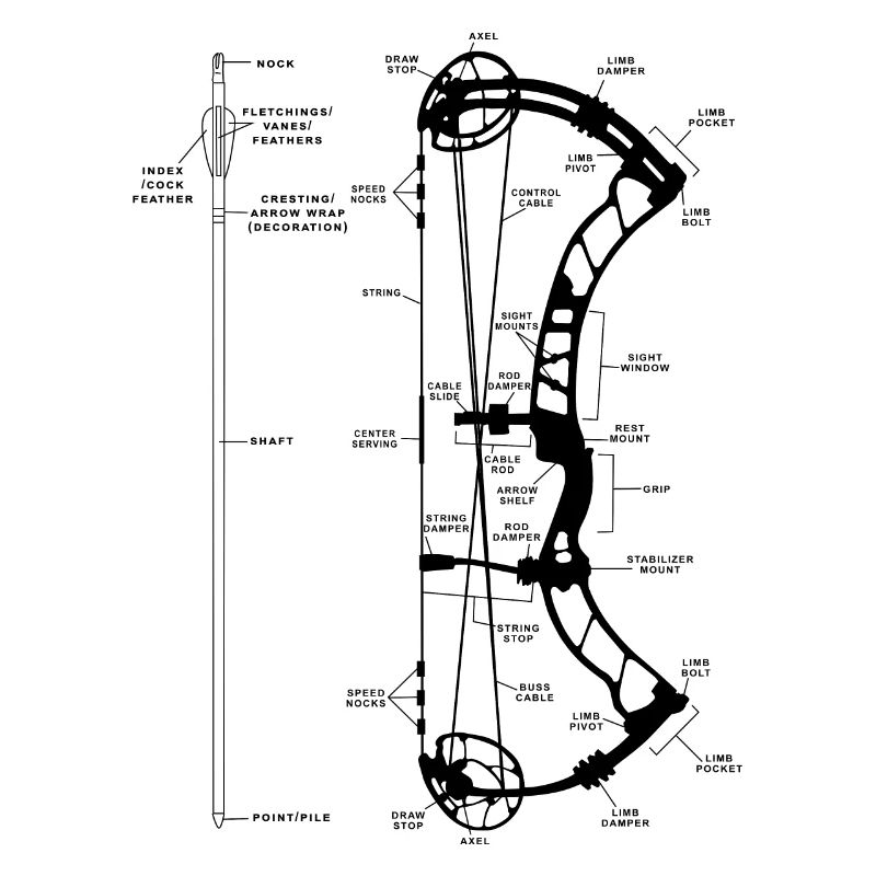 Flèche de tir à l'arc