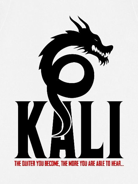 Kali Linux Offensive Security Pentest