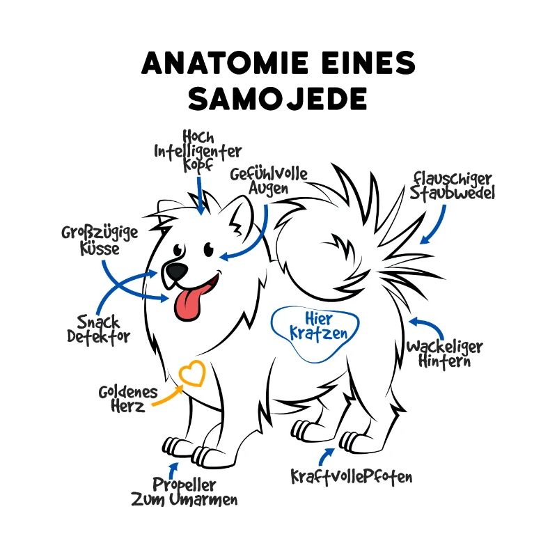 Samojede Hund Anatomie