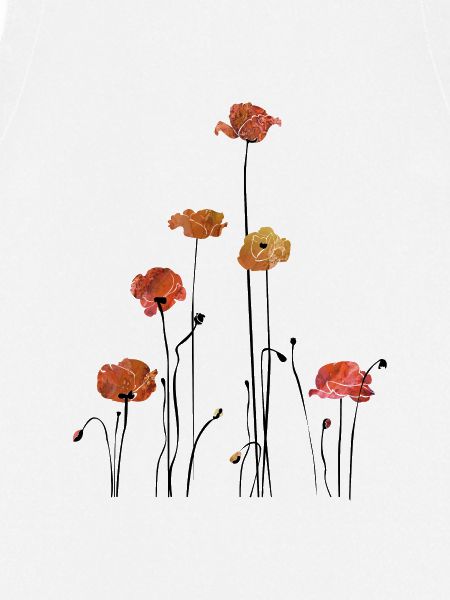 Mohnblume Klatschmohn