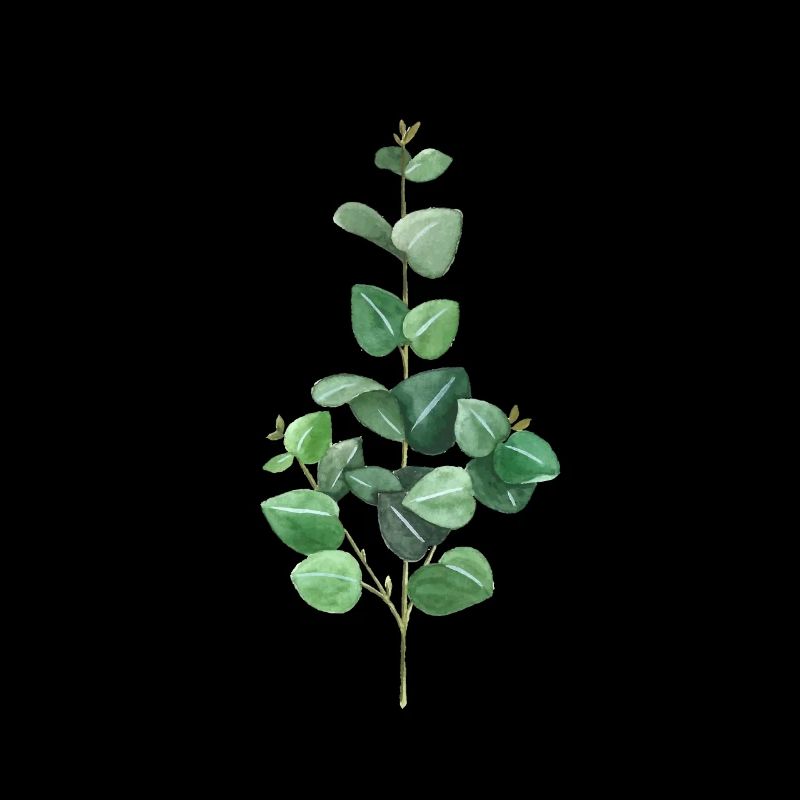 Green eucalyptus
