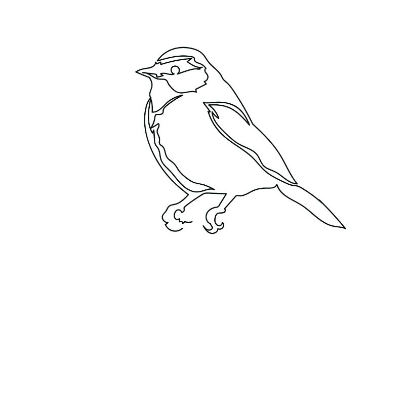 One Line Drawing Vogel Spatz Single Art