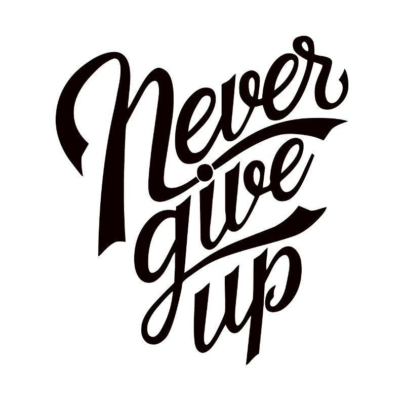 Never Give Up
