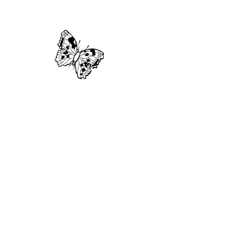 Papillon insecte papillons