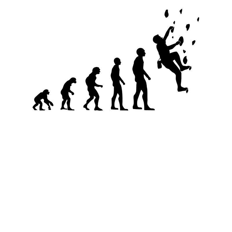 Climber Evolution Climbing Wall Climbing Hall