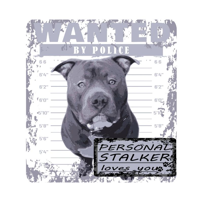 American Bully blue line artistic design