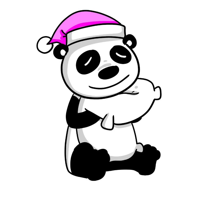 Panda avec oreiller et bonnet de couchage