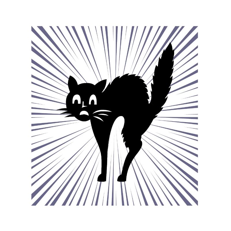 Chat noir