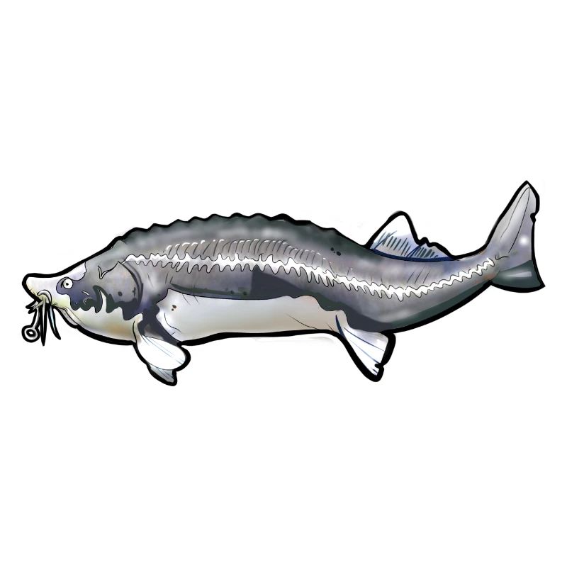 Grubbed Kelfish Tail Pattern