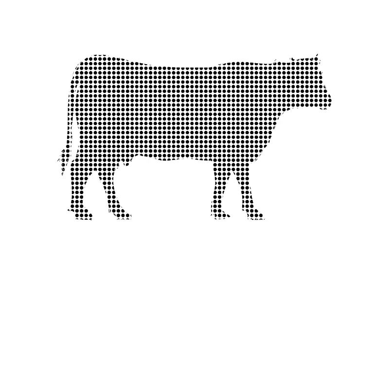 Vache