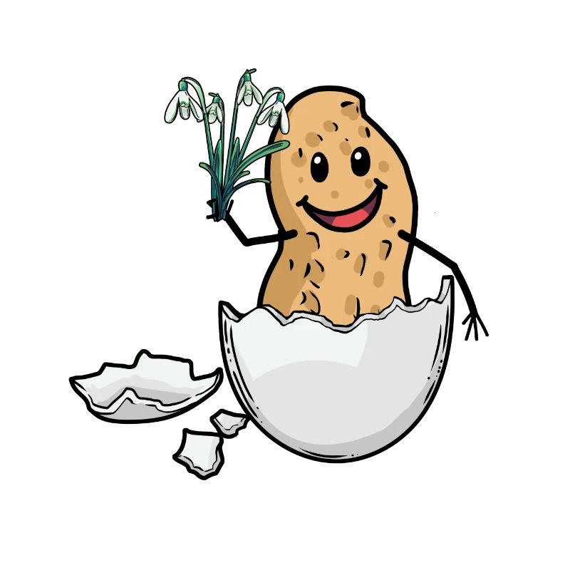 Easter Peanut Spring Easter Egg Flora Eggshell