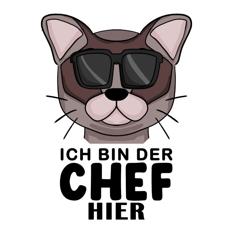 coole Katze - Burma Katze - Chef Spruch