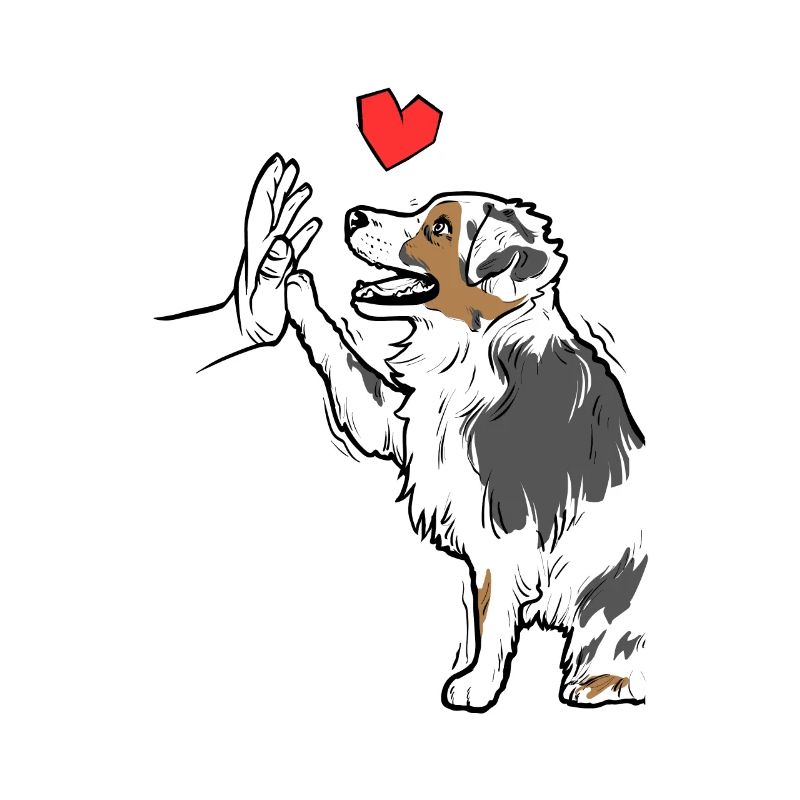 Australian Shepherd Cute Australian Shepherd