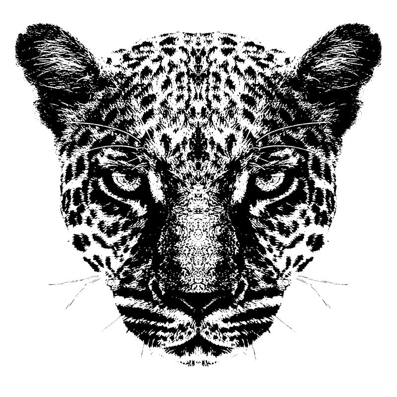 Leopard / Head / Black
