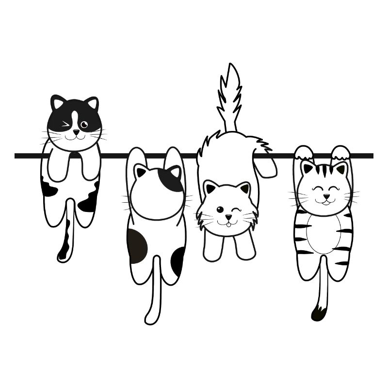 Chat de lessive