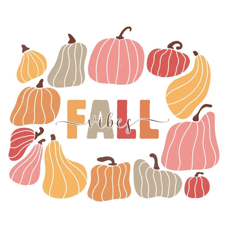 Fall Vibes Citrouilles