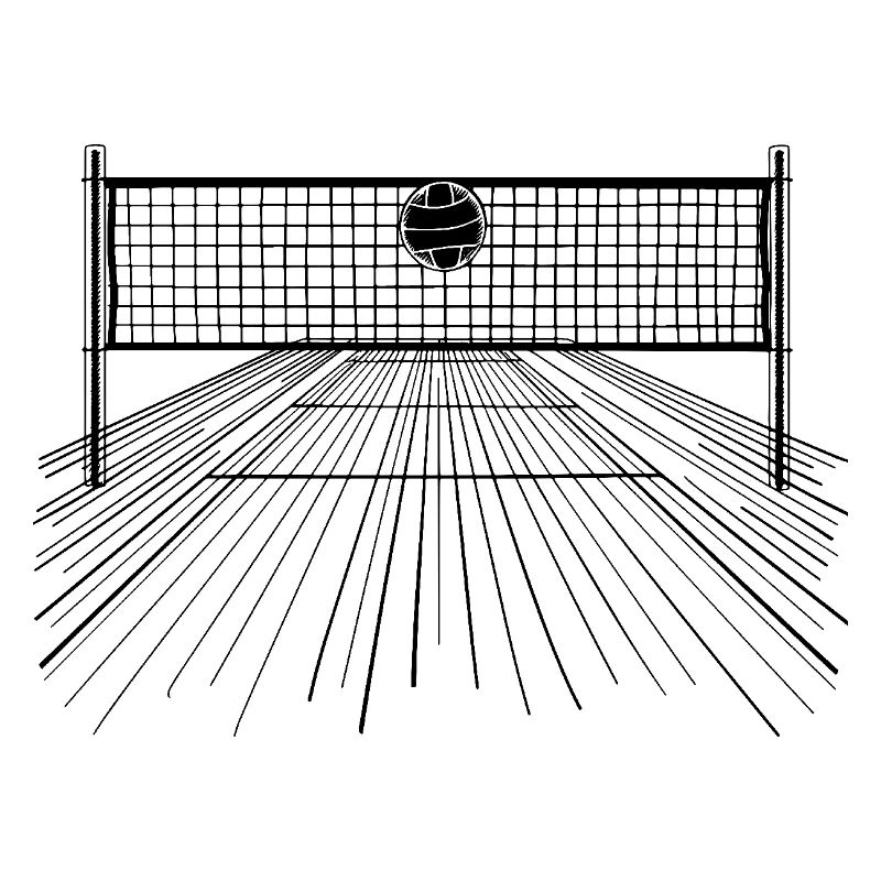 Volleyball Ball and Net