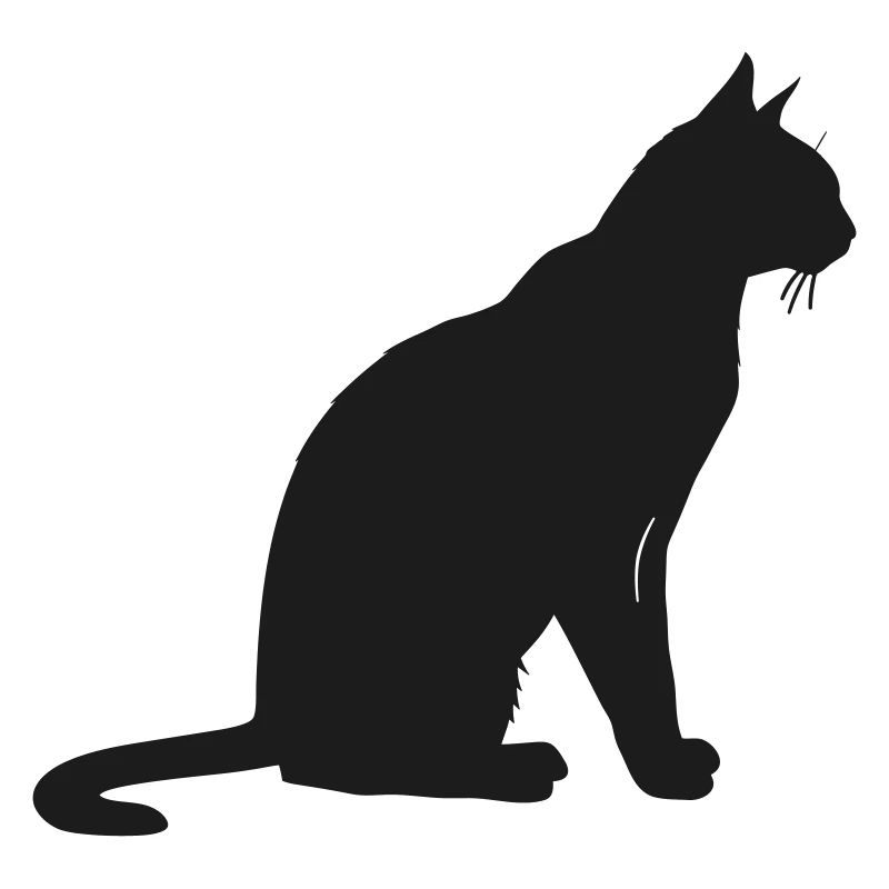 Silhouette élégante d’un chat