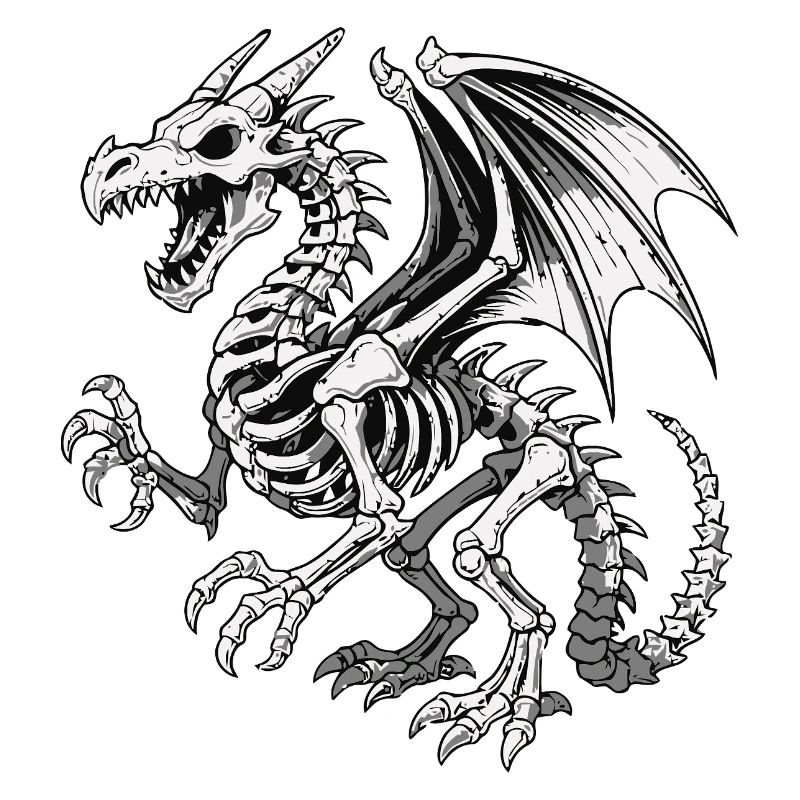Celestial Dragon Skeleton Illustration