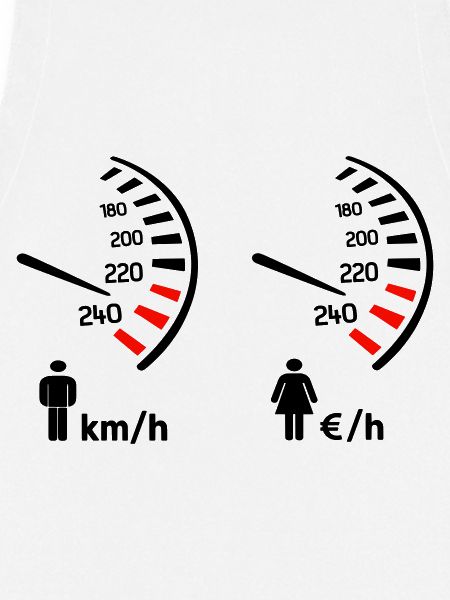 Speedometer km/h and expense meter