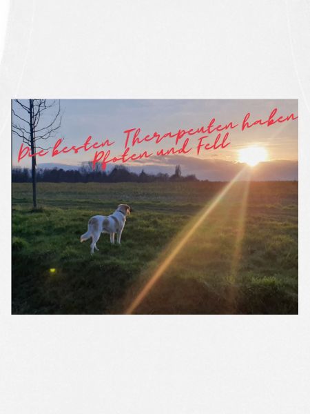 PfotenTherapie am Abendsonne