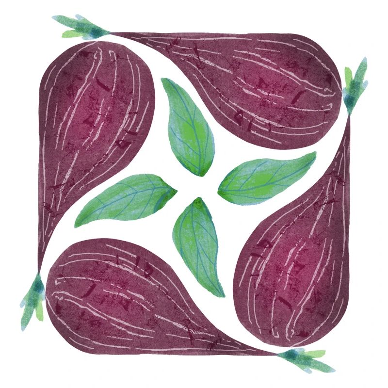 Red Onion Pattern