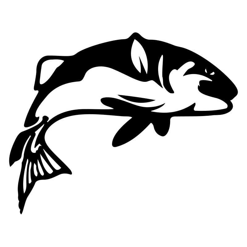 Pêche au poisson Pêche pêcheuse