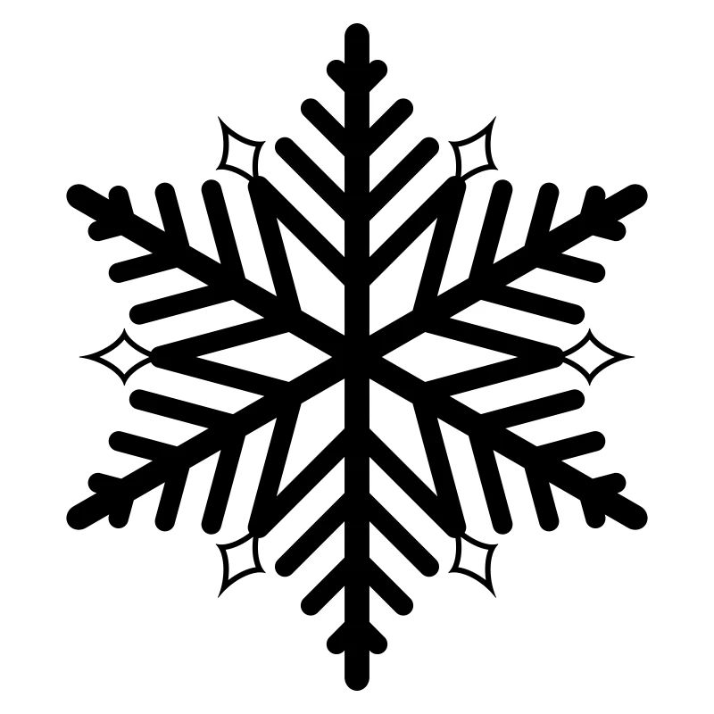 Flocon de neige flocon de neige