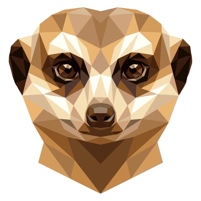 Suricate Suricate Douce Mangouste Suricate