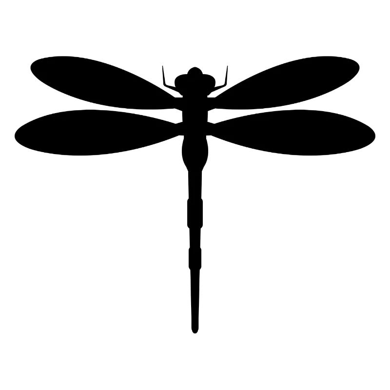 Libellule