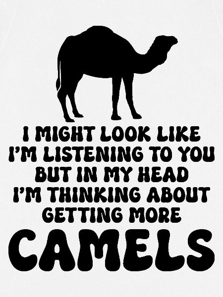 Kamel Humor Spruch