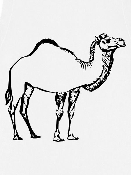 Kamel schwarz Geschenk 