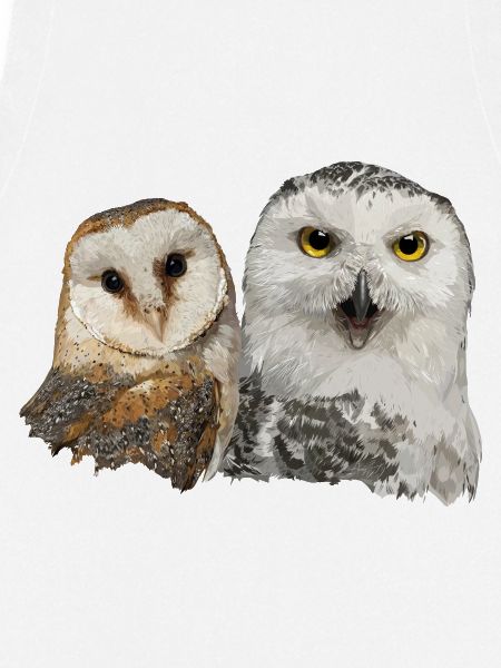 Schneeeule und Schleiereule